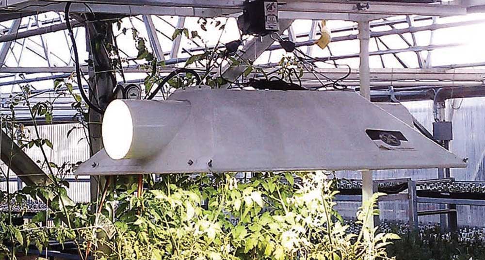 LightRail With Lamp in Greenhouse