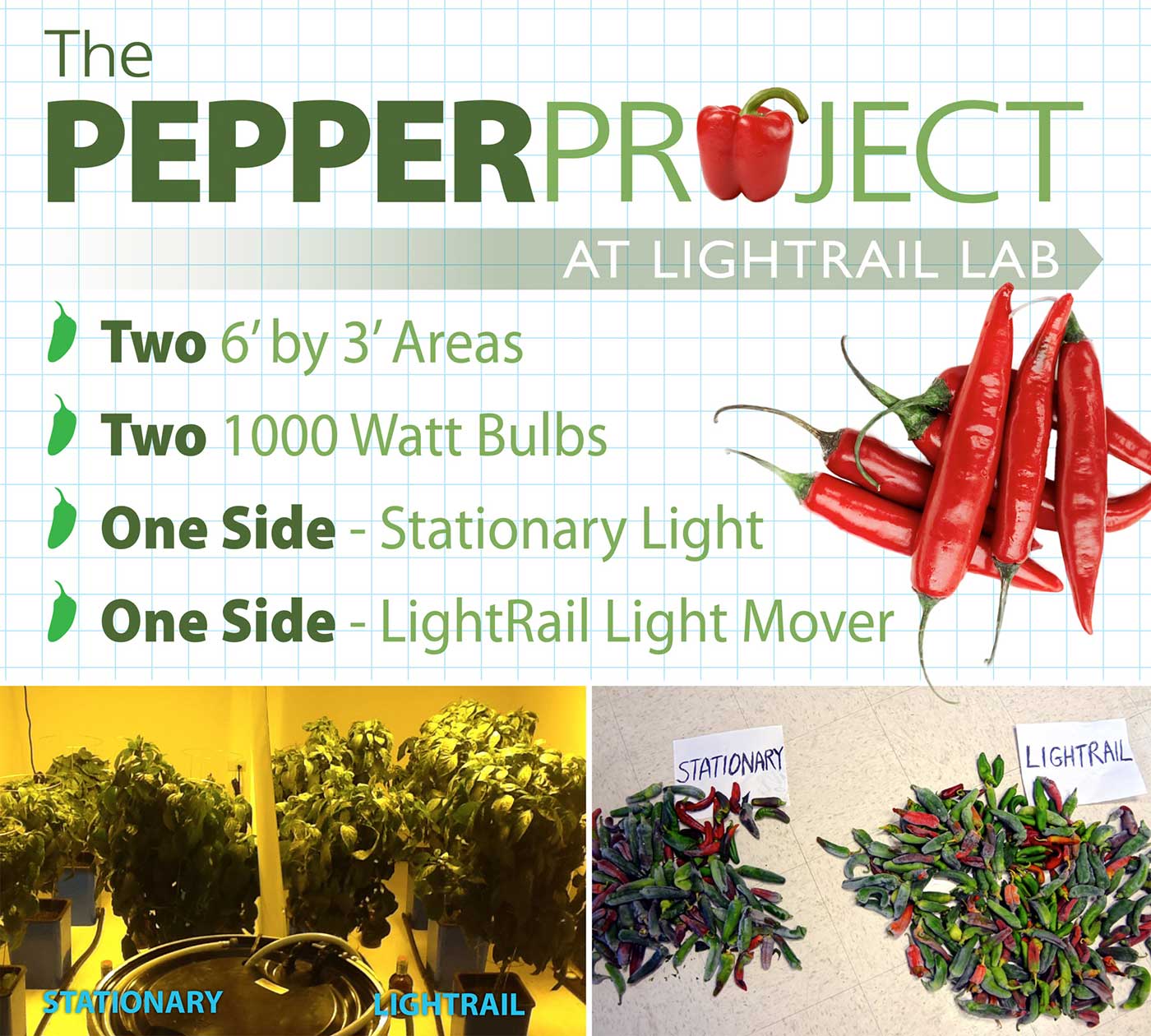 Pepper Project 5 Reasons Hand Ad