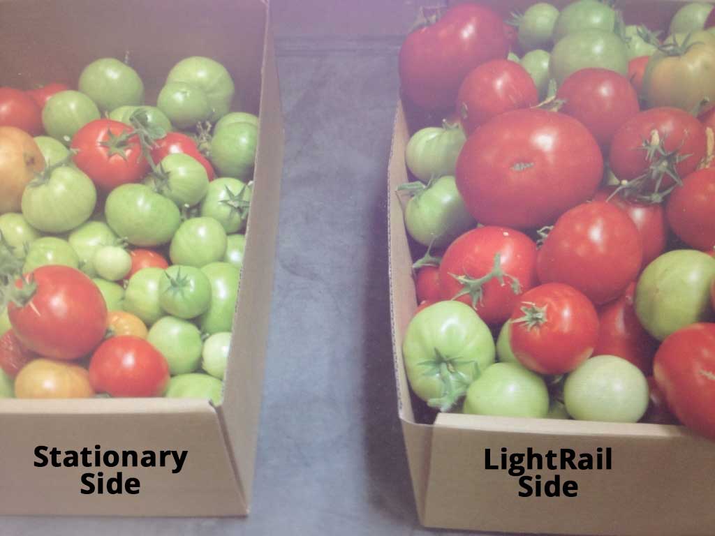 Case Study – Tomato yield Side by Side Side By Side - Tomato Project Yeild