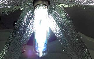 Grow lamp systems and LightRail light movers go together, no metter the indoor grow light system.