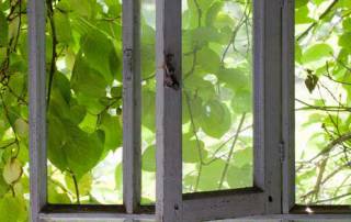 Indoor growing vs outdoor growing depends on your location and on your lighting.