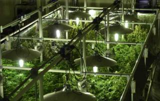 Lightrail 4.20 AdjustaDrive light mover makes it easy to plan out any sized indoor grow system.