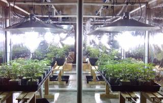 LightRail 4.20, the industrial light moevr option for any and all grow light systems