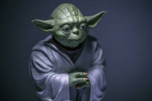 marijuana grow equipment wisdom, what would Yoda say?
