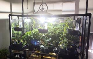 Light mover hydro grow kit with LightRail light movers for maximum plant growth and yield.