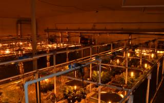 Light mover space planning allows 30% more indoor grow system space to be covered