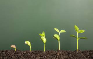 Light movers equal faster plant growth and significant yield increases from this grow light system.