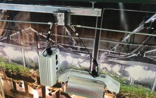 The LightRail Gavita combination gets a better quality grow light to more of the leaves