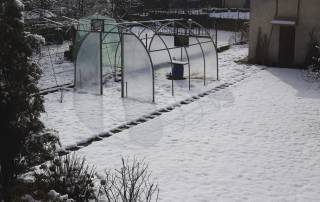 destroyed greenhouse in winter