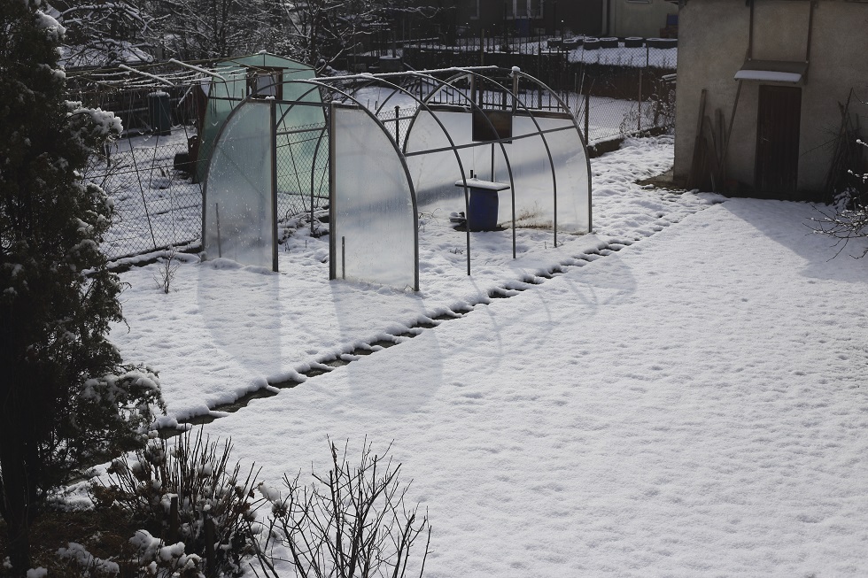 destroyed greenhouse in winter