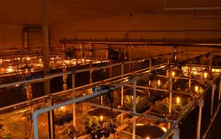 Awesome grow rooms vs average grow rooms