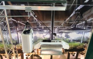 How do LightRail light movers work