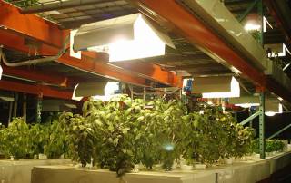 LightRail 5.0 crossbar configuration is adjustable in length and it can be turned to be in-line with the grow light mover rail.