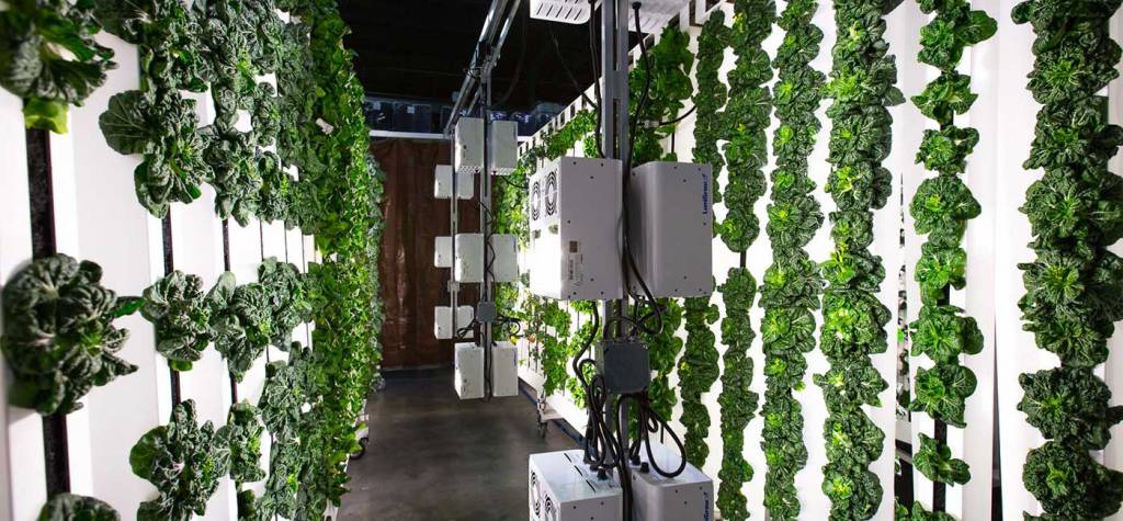 Vertically growing food - the next frontier