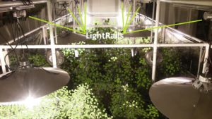 LightRail light movers with close grow light interaction