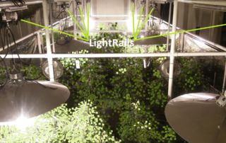 LightRail light movers with close grow light interaction