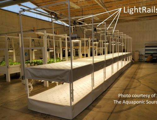 How to Set Up Grow Lights in Rooms with Tall Ceilings