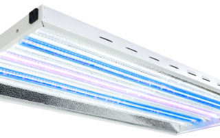 LED grow lights moved with LightRail light movers